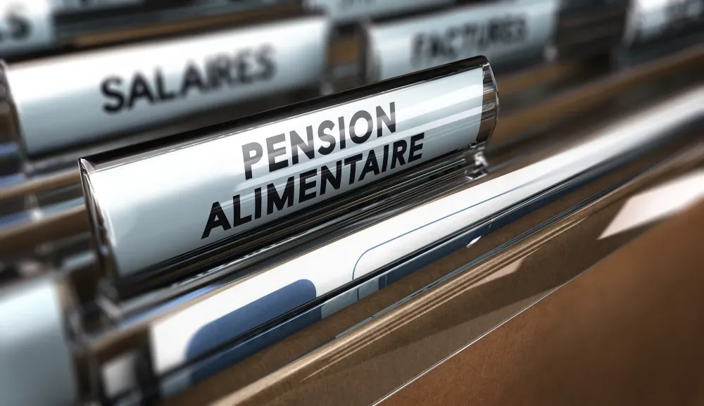 Avocat pension alimentaire près de Saint-Denis-de-Pile
