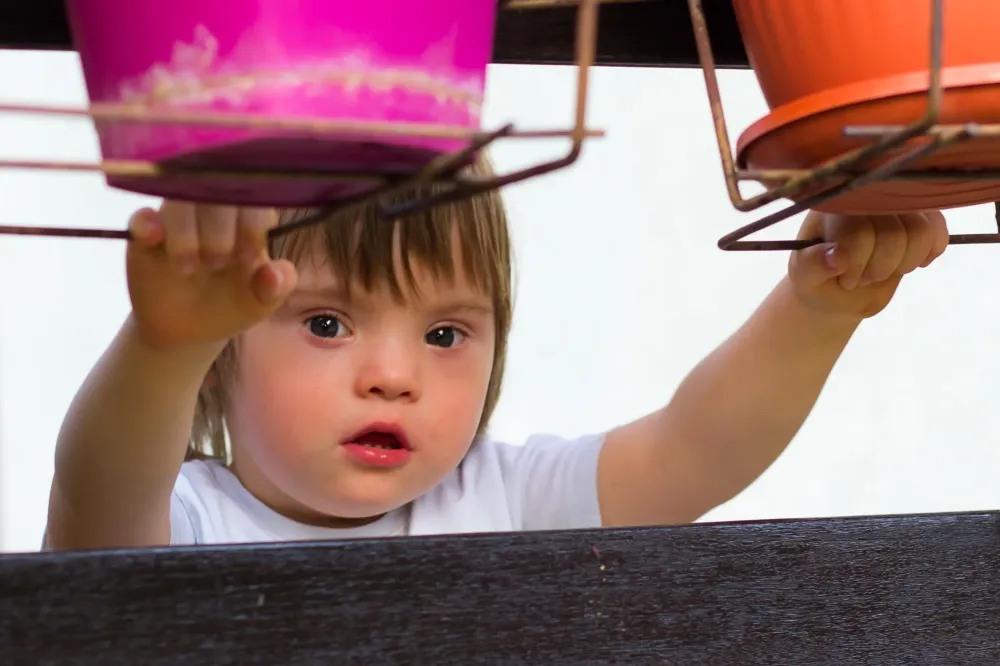 Avocat enfant porteur d'handicap près de Saint-Denis-de-Pile